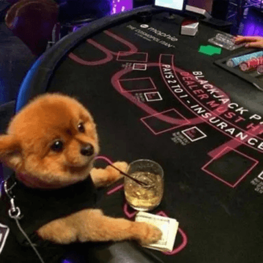 Cute Doge